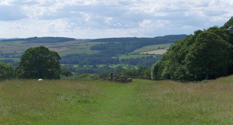 Planetrees Roman Wall: A Surviving Section of Hadrian’s Frontier