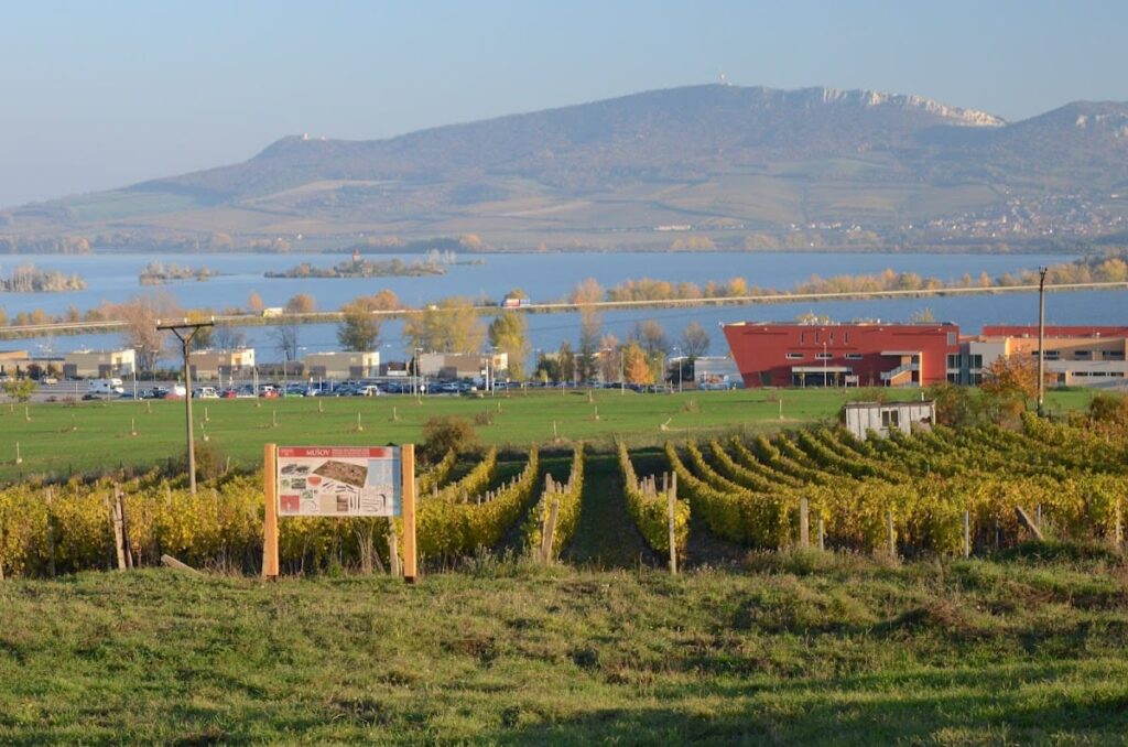 Roman Fort Pasohlávky: A Late 2nd Century Military Site in the Czech Republic 6 Roman Fort Pasohlávky