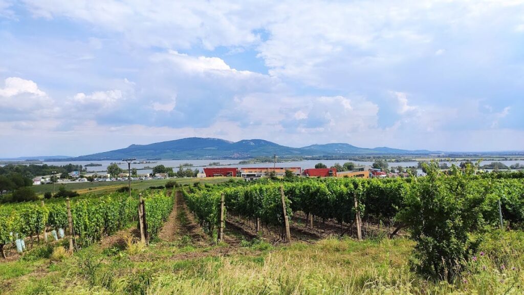 Roman Fort Pasohlávky: A Late 2nd Century Military Site in the Czech Republic 8 Roman Fort Pasohlávky