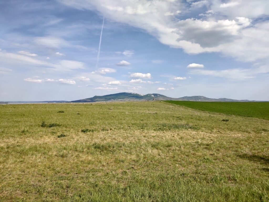 Roman Fort Pasohlávky: A Late 2nd Century Military Site in the Czech Republic 9 Roman Fort Pasohlávky