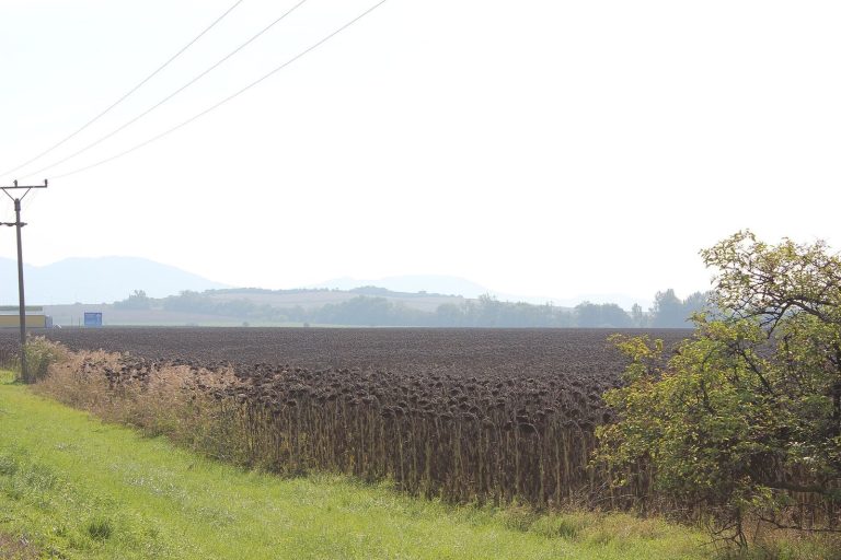 Roman Fort Pasohlávky: A Roman Military Base in Czechia