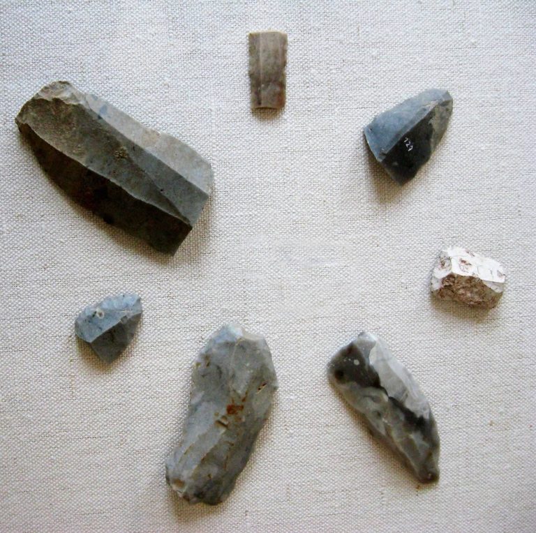 Museum Pachten: A Museum of Gallo-Roman History in Germany