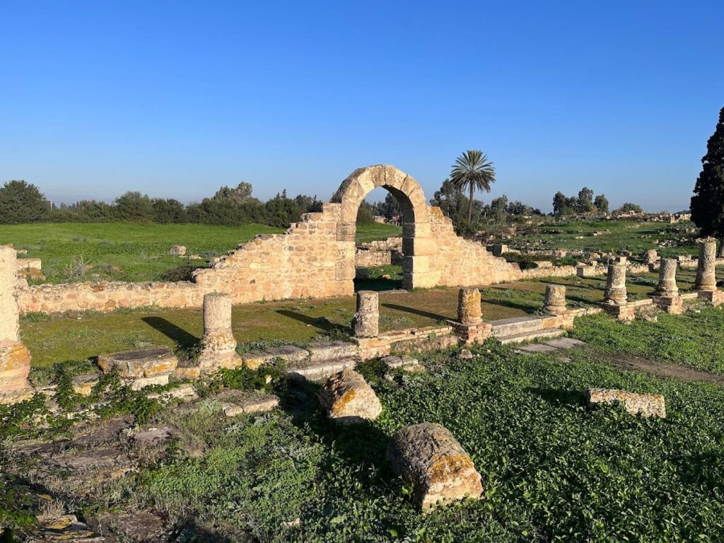 Banasa Archaeological Site