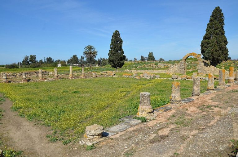 Banasa Archaeological Site: Roman Colony and Agricultural Centre in Morocco