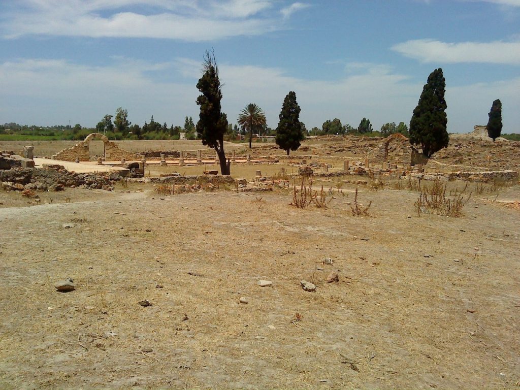 Banasa Archaeological Site: Roman Colony and Agricultural Centre in Morocco 2 Banasa Archaeological Site