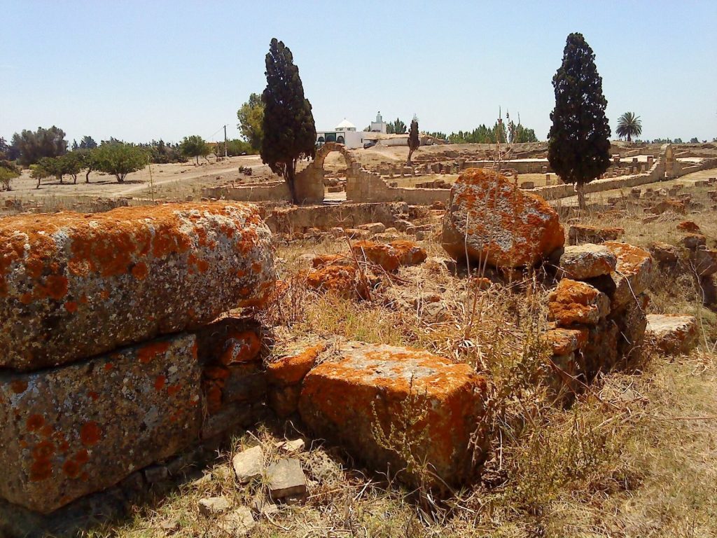 Banasa Archaeological Site: Roman Colony and Agricultural Centre in Morocco 4 Banasa Archaeological Site
