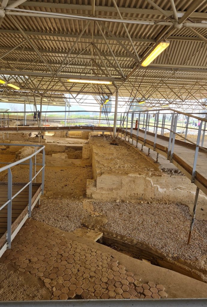 Suasa Amphitheatre: A Roman Arena in Italy 3 Suasa amphitheatre