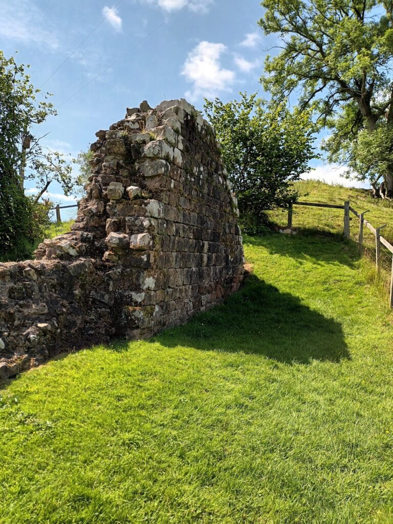 Hare Hill: A Surviving Section of Hadrian’s Wall 3 Hare Hill