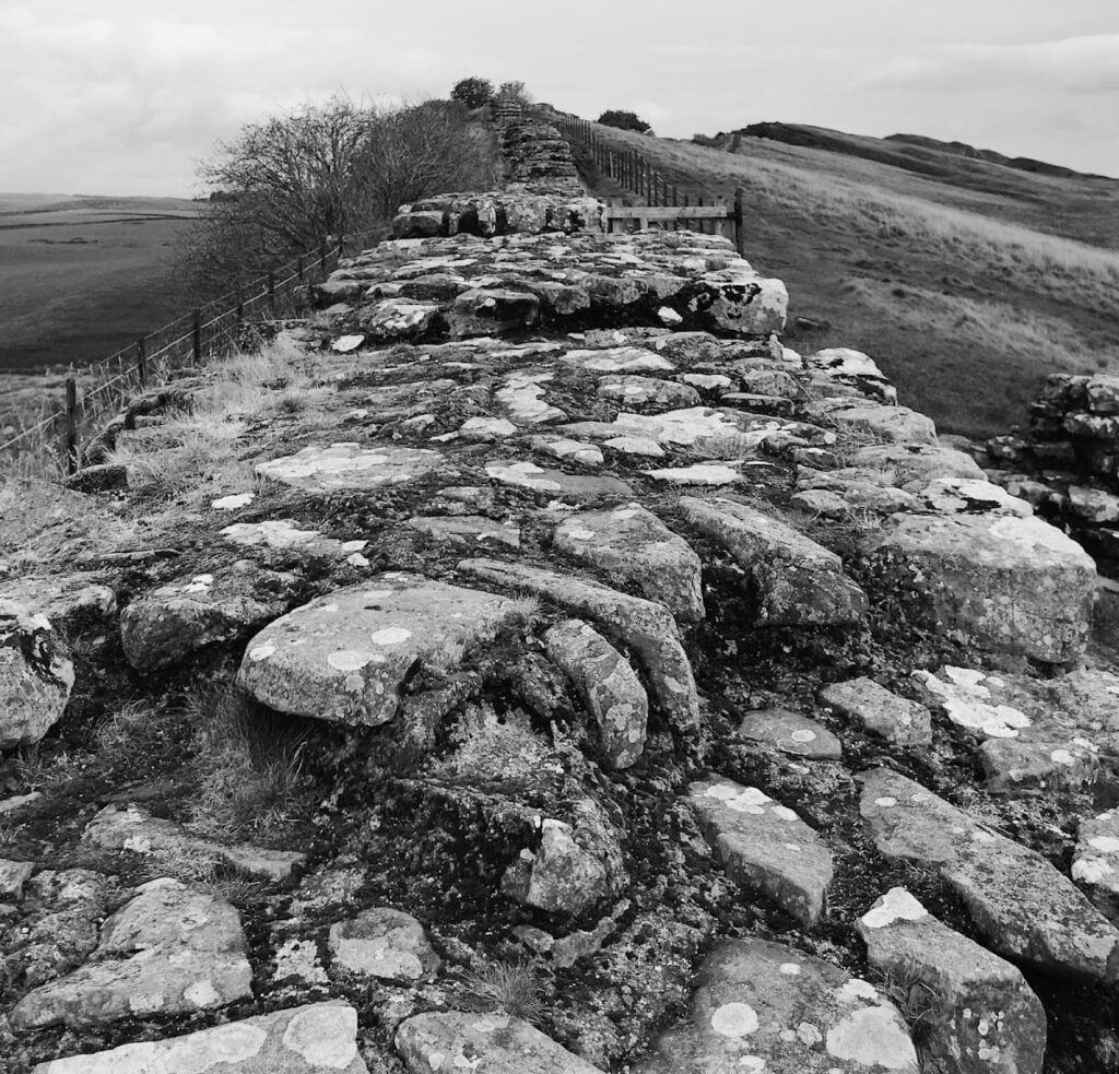Hare Hill: A Surviving Section of Hadrian’s Wall 4 Hare Hill