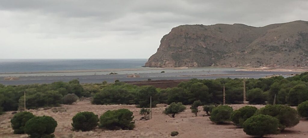 Roman Villa of Paturro: A Roman Estate in Southeastern Spain 7 Roman Villa of Paturro