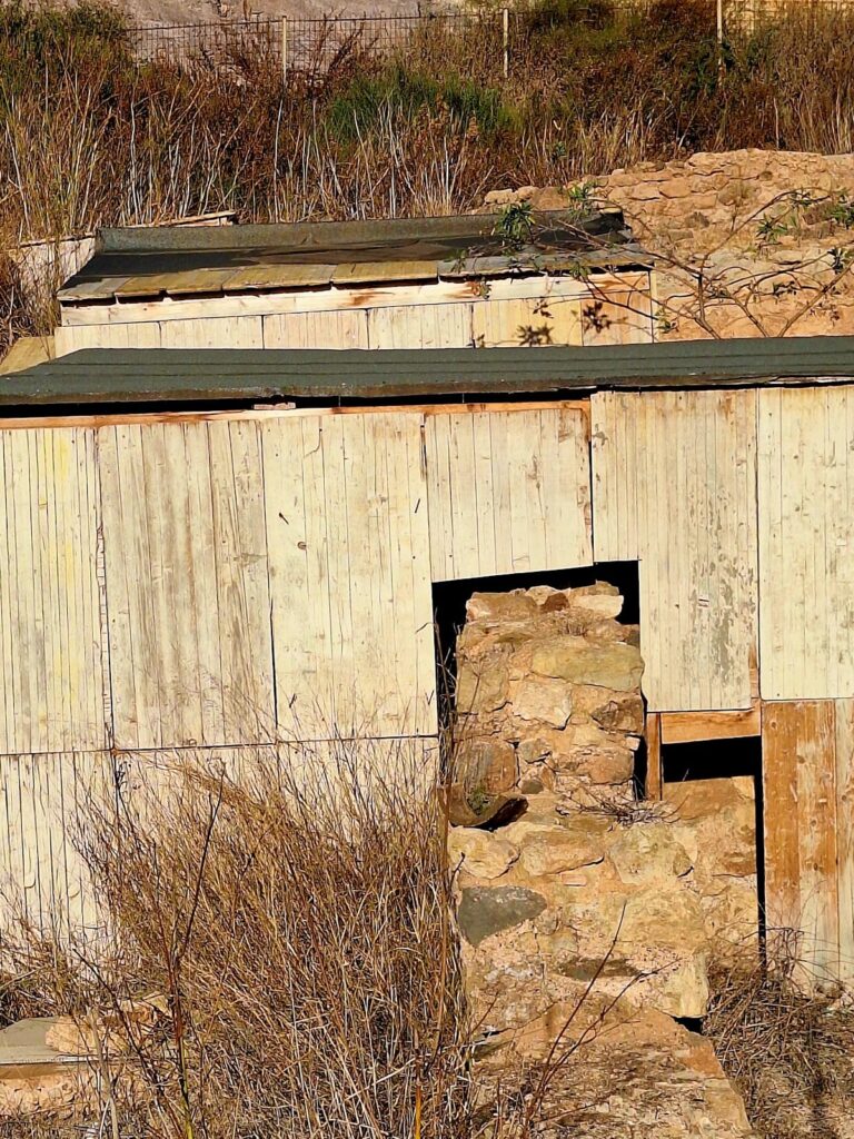 Roman Villa of Paturro: A Roman Estate in Southeastern Spain 8 Roman Villa of Paturro