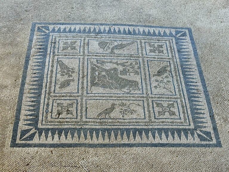 Domus dei Coiedii: A Roman Residence in Suasa, Italy