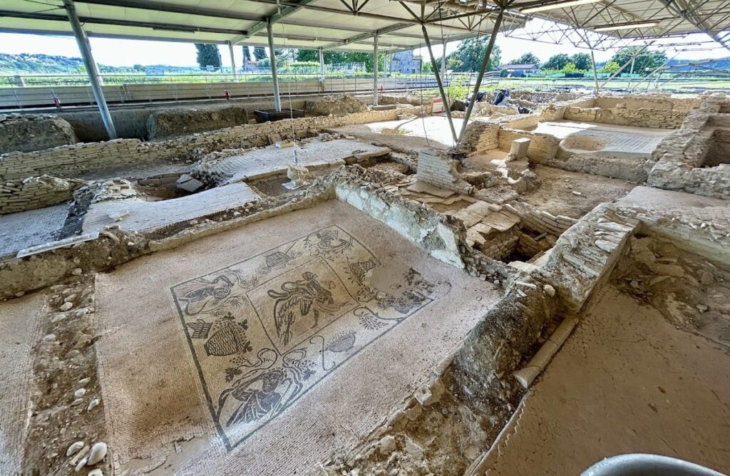 Domus dei Coiedii: A Roman Residence in Suasa, Italy 7 Domus dei Coiedii