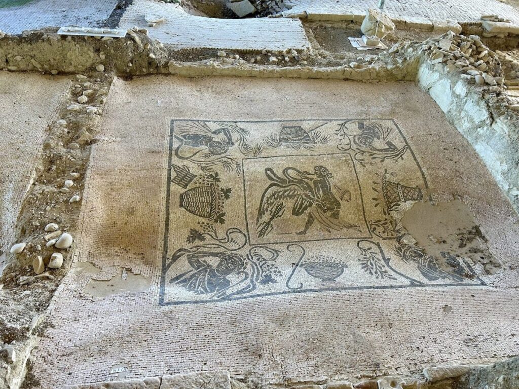 Domus dei Coiedii: A Roman Residence in Suasa, Italy 8 Domus dei Coiedii