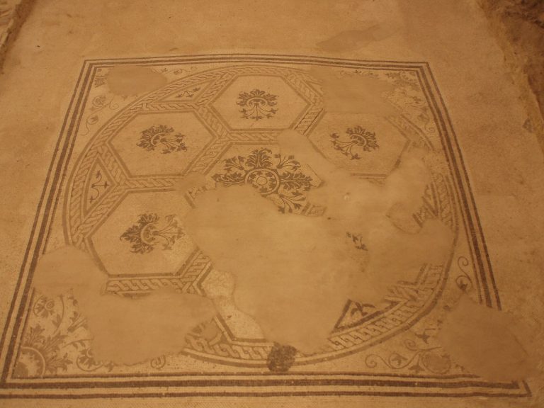 Domus dei Coiedii: A Roman Private House at Suasa in Italy