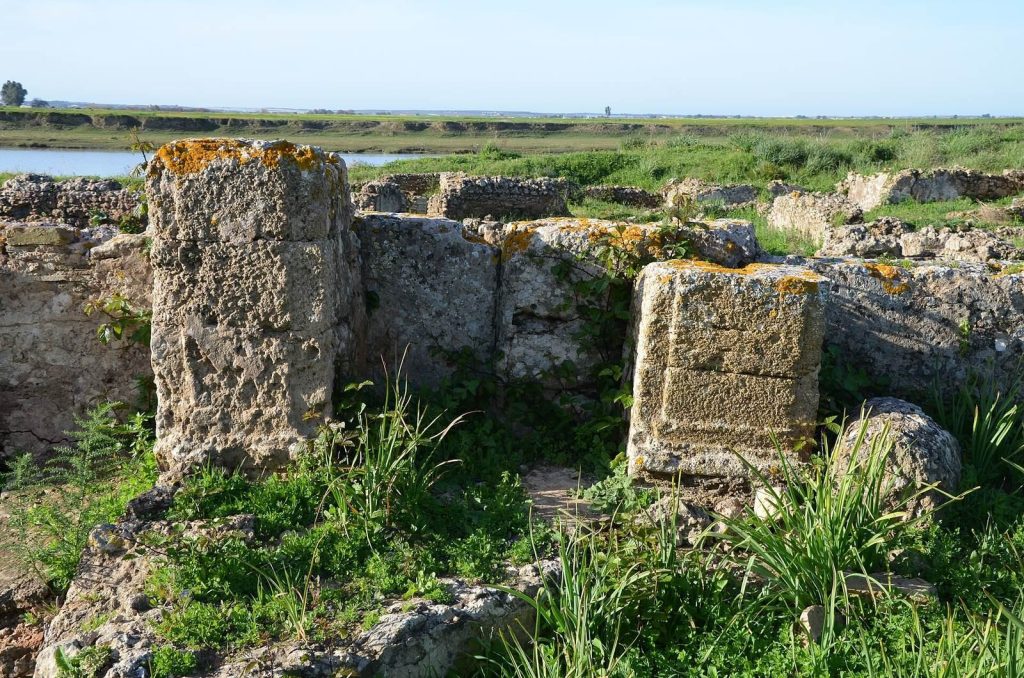 Thamusida Archaeological Site: A Punic Port and Roman Military Settlement in Morocco 5 Thamusida Archaeological Site