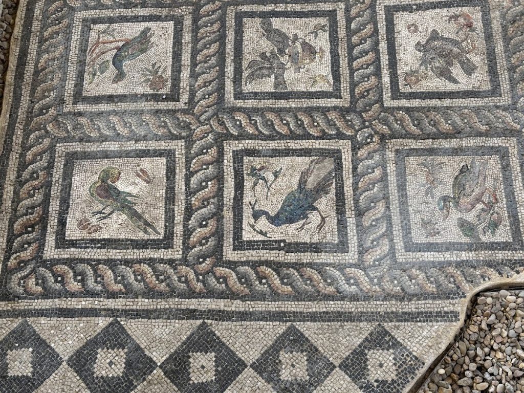 Roman Villa of the Birds: An Early Roman Residence in Alexandria 1 Roman Villa of the Birds