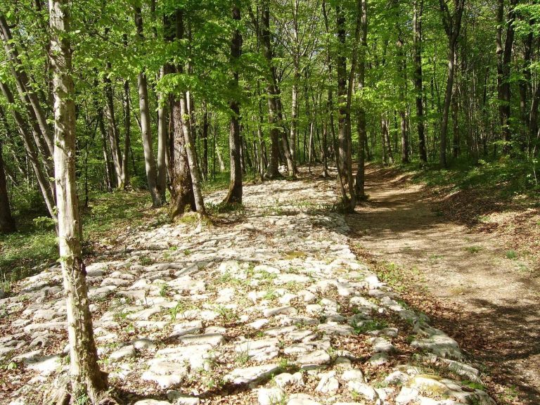 Mausoleum of Faverolles: A Gallo-Roman Funerary Monument in France
