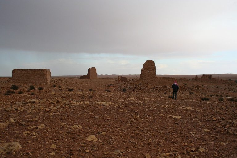 Ghirza (Gerisa): A Roman Frontier City in Libya