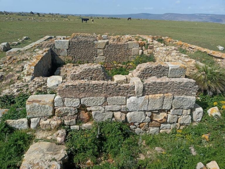 Iulia Constantia Zilil: A Roman Colony in Morocco