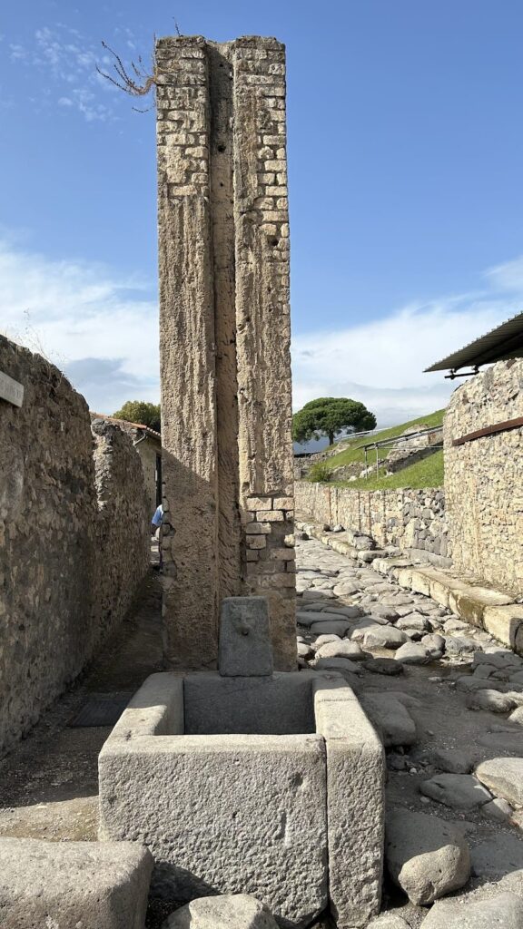 Castellum Aquae: Pompeii’s Roman Water-Distribution Reservoir 3 Castellum Aquae
