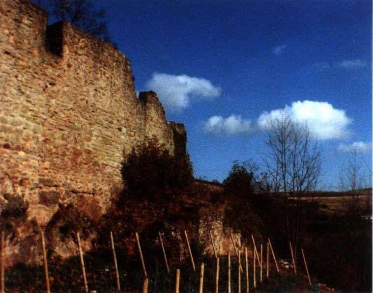 Burg Neuwolfstein: A Ruined Hill Castle in Germany 2 Burg Neuwolfstein