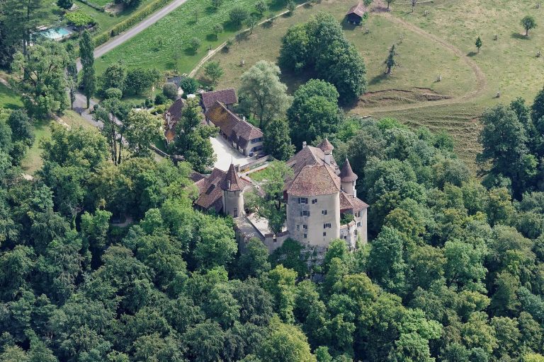 Wildenstein Castle: A Medieval Highland Fortress in Switzerland