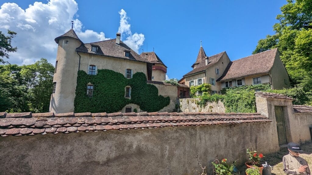 Wildenstein Castle: A Medieval Highland Fortress in Switzerland 1 Wildenstein Castle