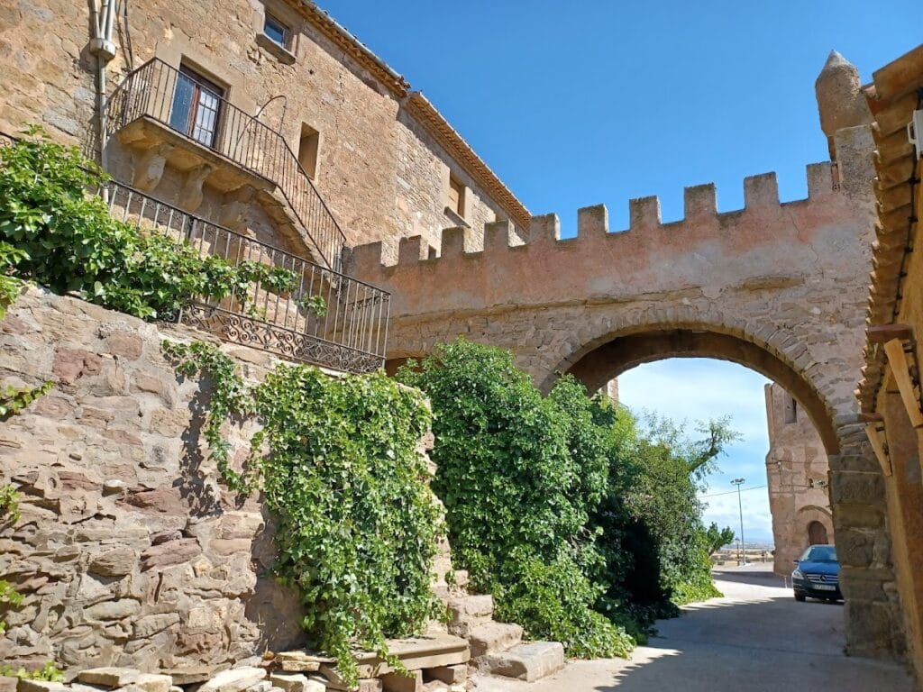 Castell de l'Aranyó