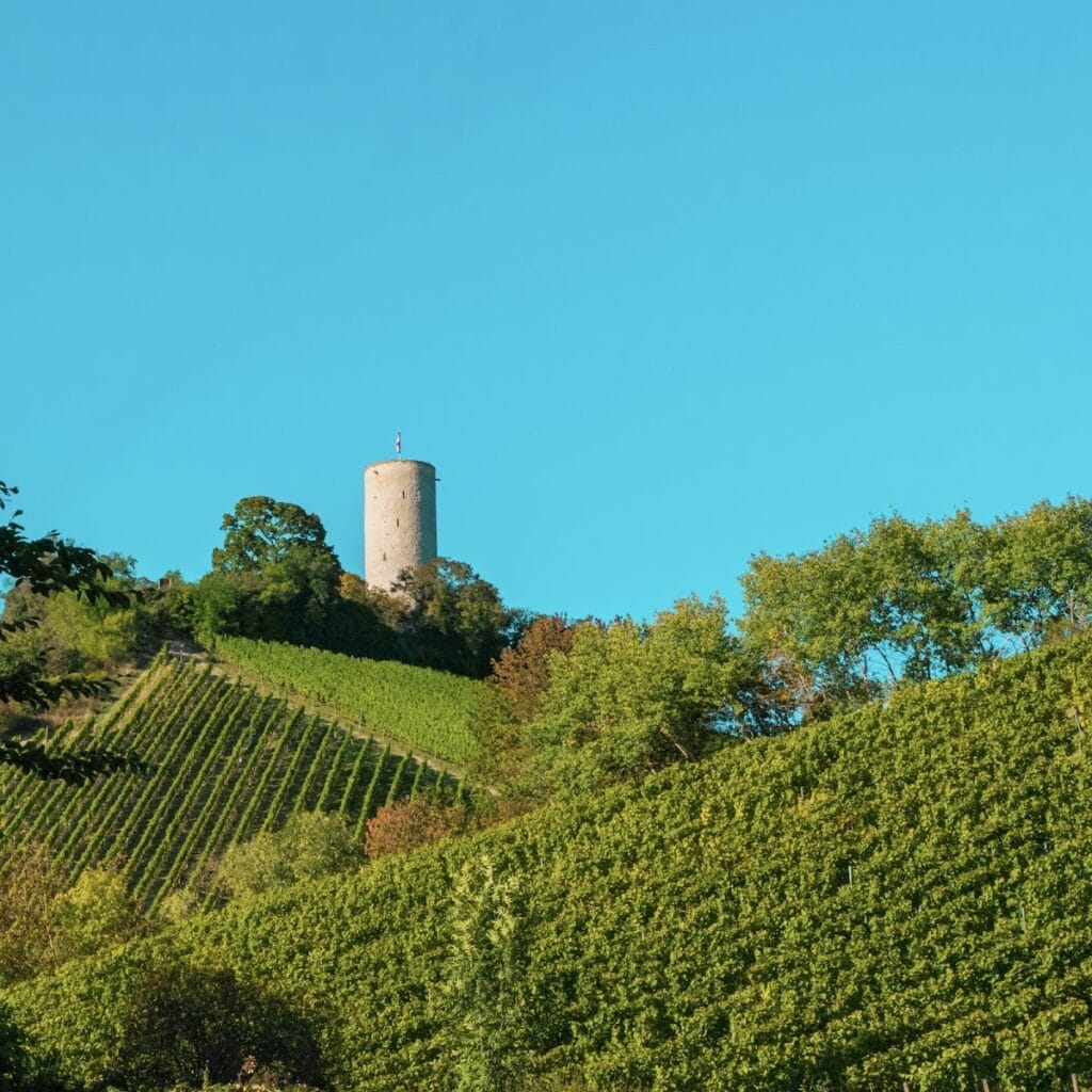 Burg Scharfenstein: A Medieval Border Castle near Kiedrich 2 Burg Scharfenstein