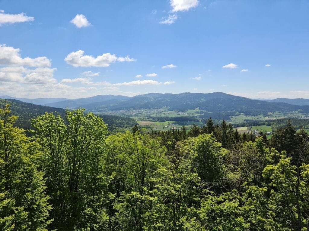 Burg Lichteneck: A Medieval Castle in Rimbach, Germany 4 Burg Lichteneck