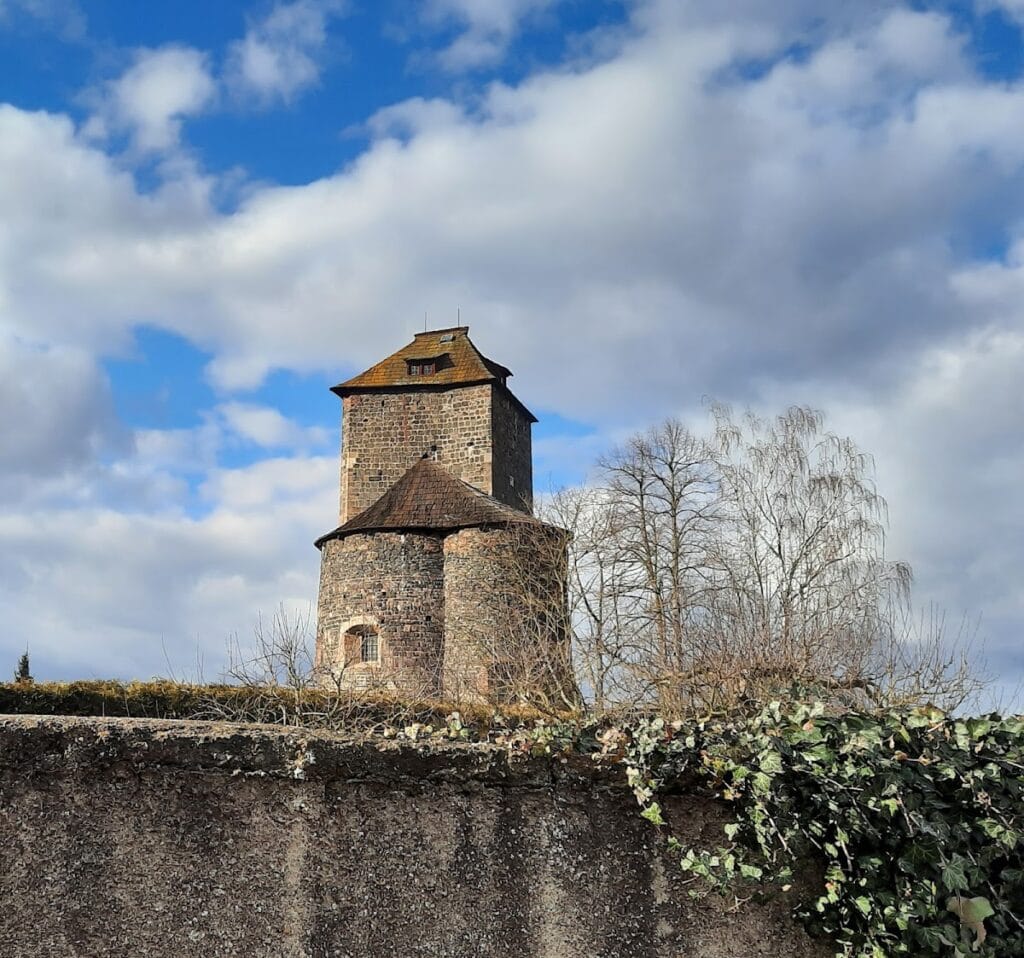 Týnec nad Sázavou Castle
