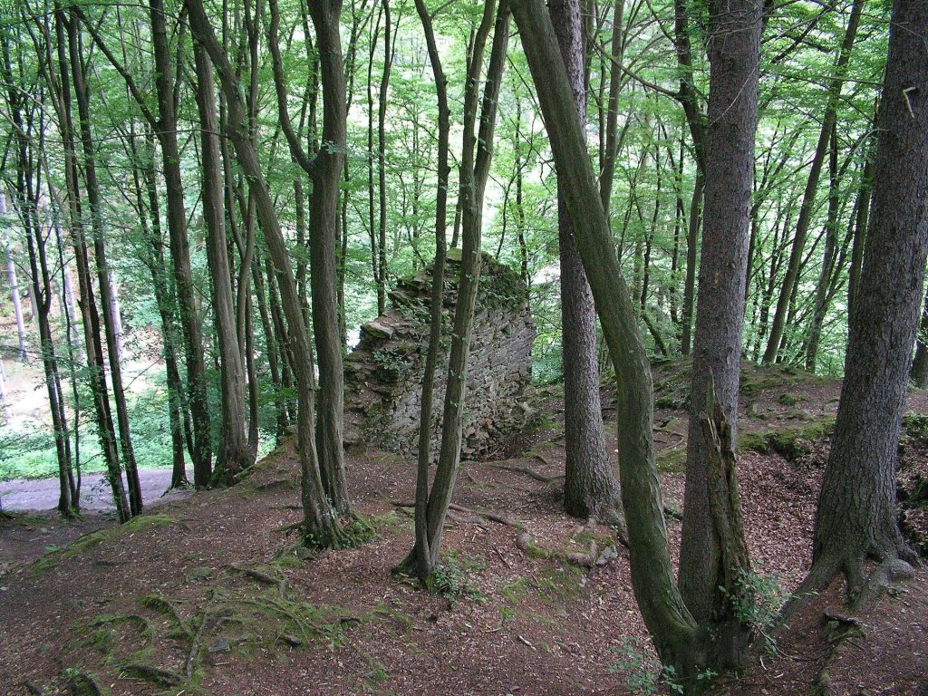 Chřenovice: A Gothic Bergfried Castle Ruin in Czechia 2 Chřenovice