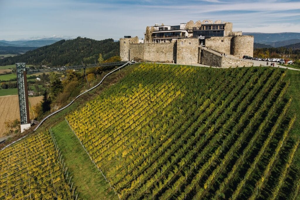 Burgruine Taggenbrunn: A Historic Hilltop Castle in Austria 3 Burgruine Taggenbrunn