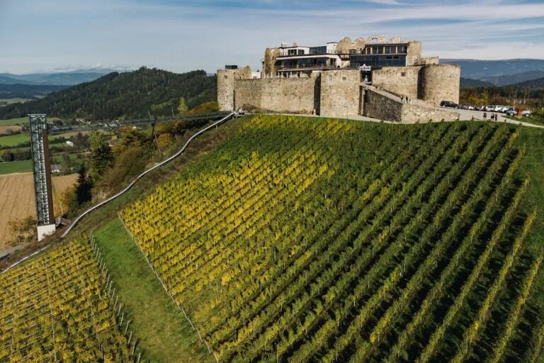 Burgruine Taggenbrunn: A Historic Hilltop Castle in Austria