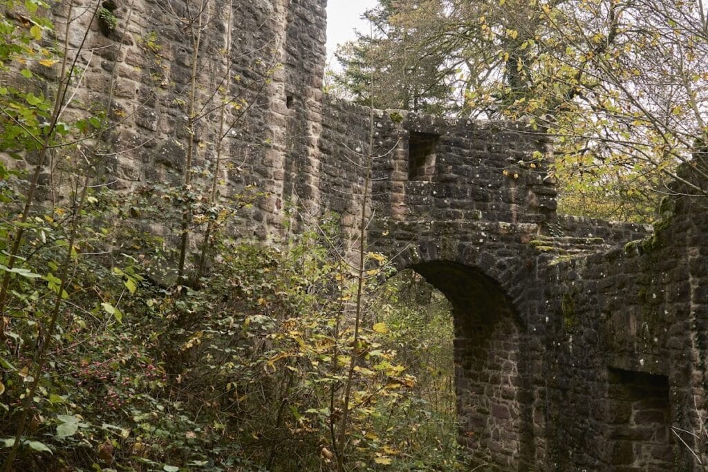 Waldeck Ruins: A Medieval Castle Complex in Germany 2 Waldeck Ruins