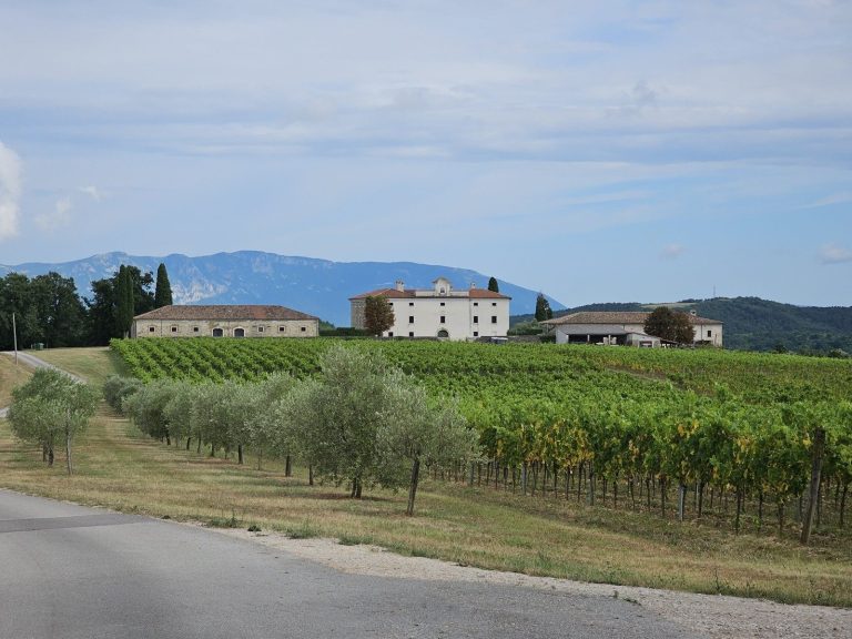 Belaj Castle: A Historic Manor and Winery in Croatia