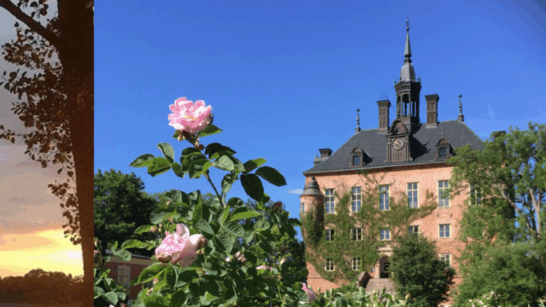 Wik Castle: A Medieval Fortress and Cultural Venue in Uppsala, Sweden