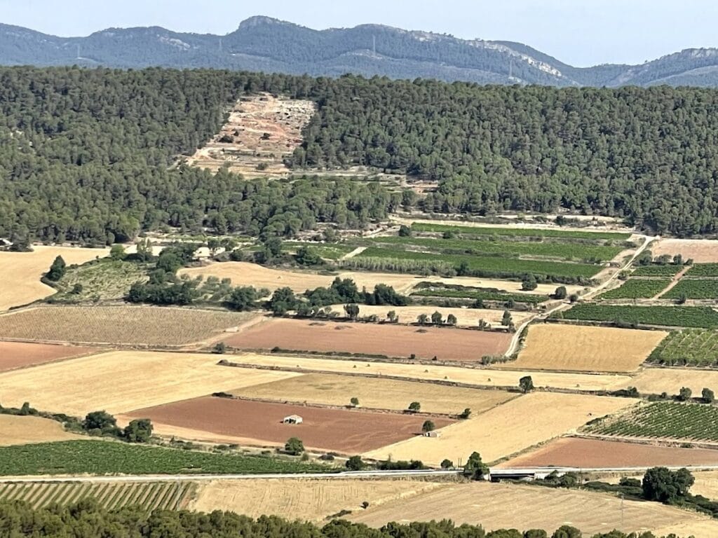 Vilademàger Castle: A Medieval Fortification in Catalonia 4 Castell de Vilademàger