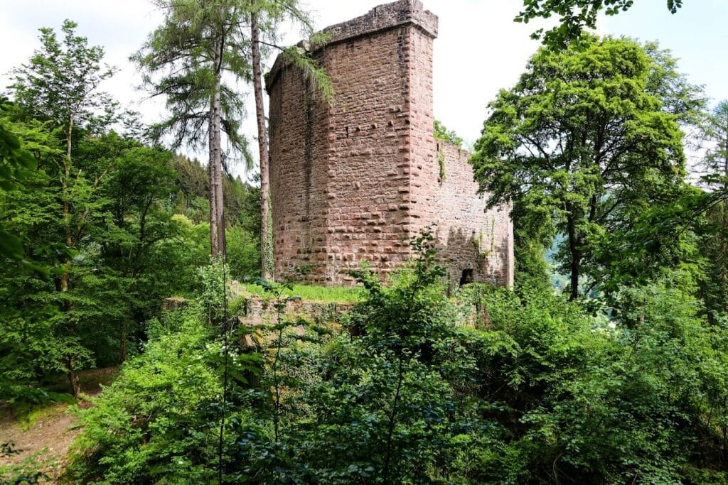 Burg Stolzeneck: A Medieval Castle Ruin in Eberbach, Germany 3 Burg Stolzeneck