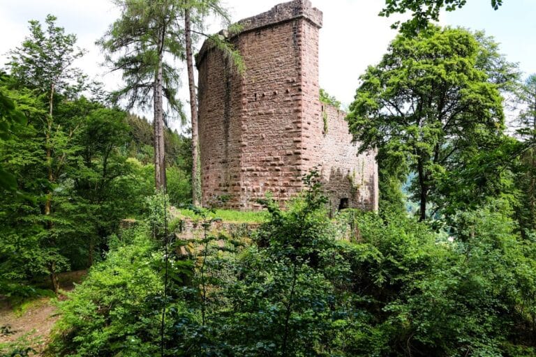 Burg Stolzeneck: A Medieval Castle Ruin in Eberbach, Germany
