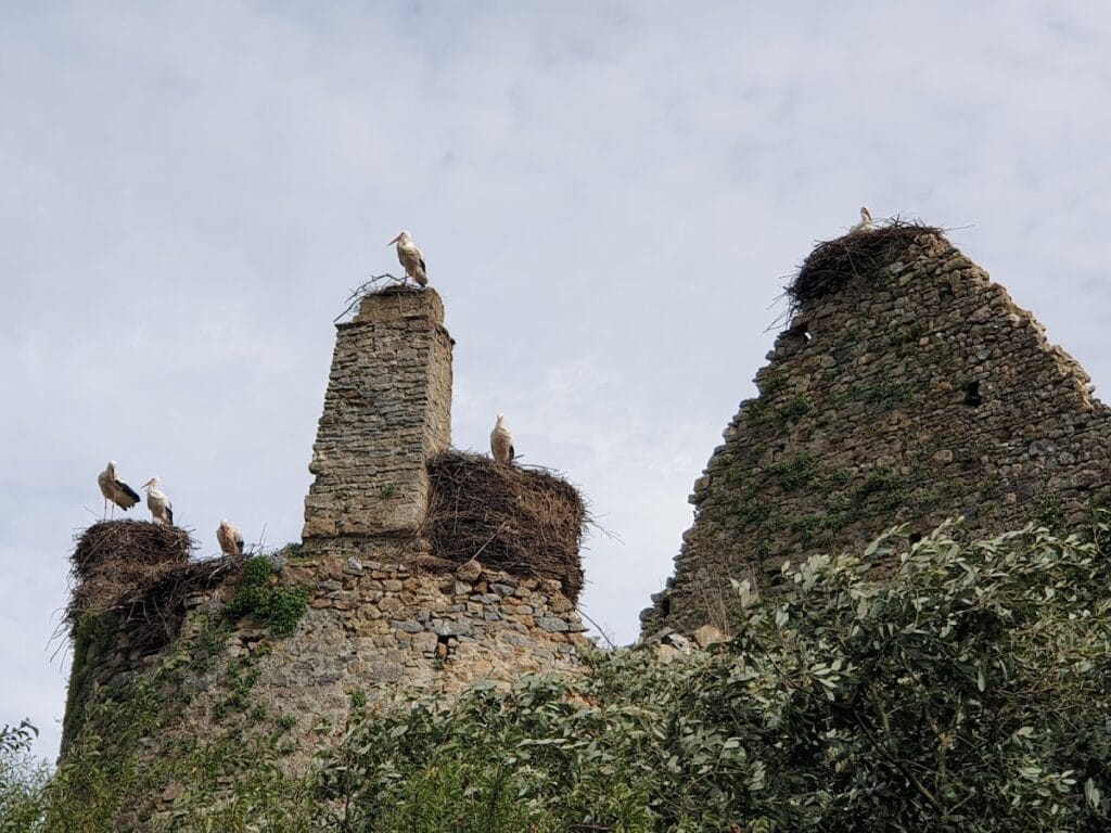 Château de la Rivière: A Medieval Fortress in Saint-Fromond, France 4 Château de la Rivière