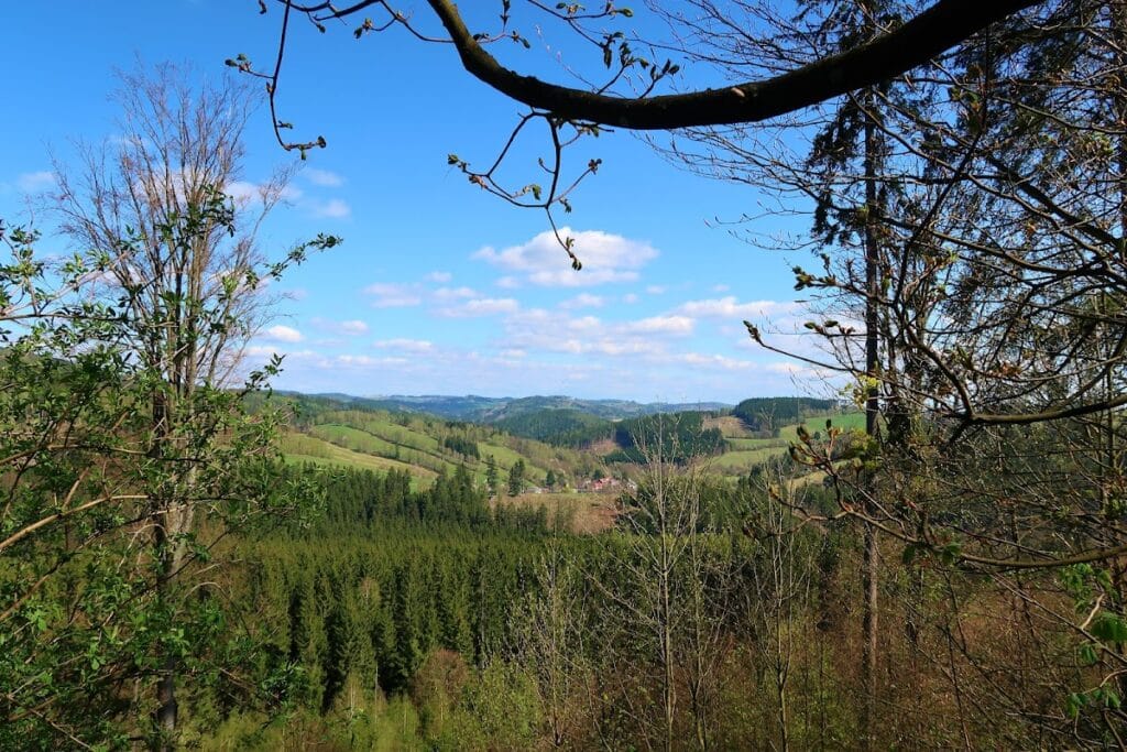 Skály Castle: A Gothic Hill Castle in Czechia 4 Skály Castle