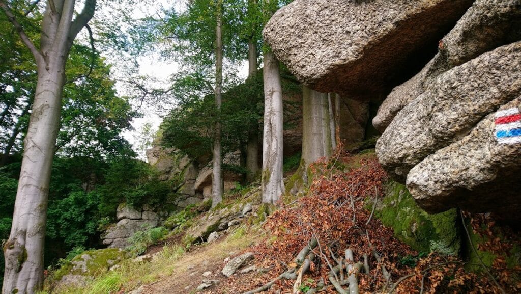 Skály Castle: A Gothic Hill Castle in Czechia 5 Skály Castle