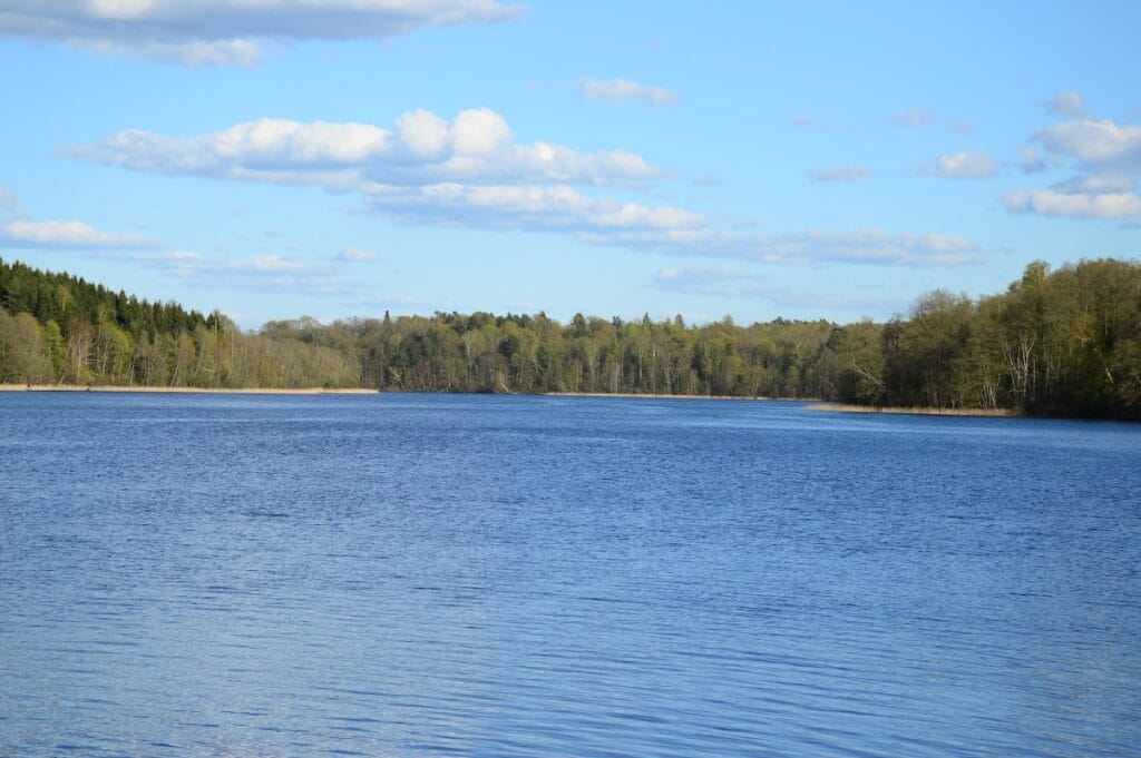 Dubingiai Castle: A Historic Lithuanian Fortress and Noble Residence 7 Dubingiai Castle