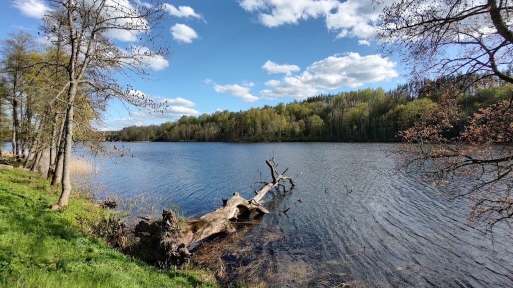 Dubingiai Castle: A Historic Lithuanian Fortress and Noble Residence 8 Dubingiai Castle