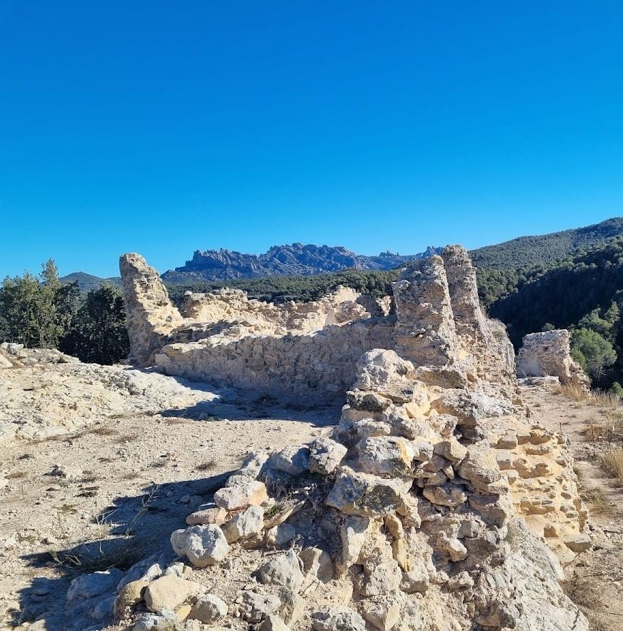 Castell de Castellolí: A Medieval Castle and Frontier Stronghold in Spain 4 Castell de Castellolí