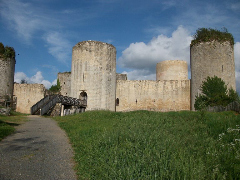 Château du Coudray-Salbart: A Medieval Fortified Castle in France