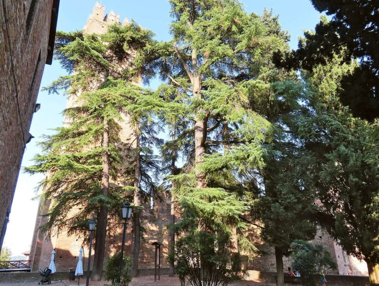 Rocca Viscontea: Medieval Fortress of Castell’Arquato, Italy