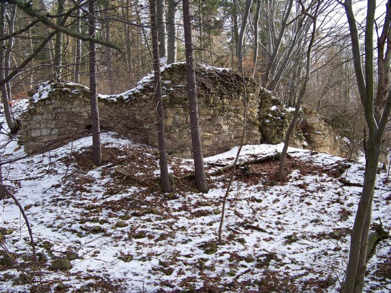 Džbán Castle: A Přemyslid Medieval Fortress in Czechia
